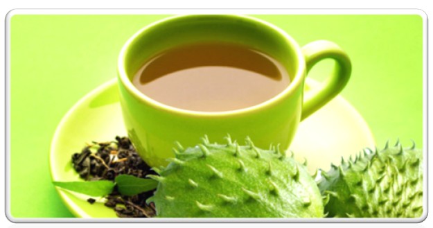 Sour Sop: The Cancer Ultimate Killer