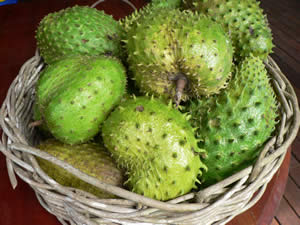 image10-2 Soursop and Cancer: What the Research Actually Says