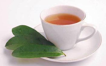 image11-3 Soursop and Cancer: What the Research Actually Says