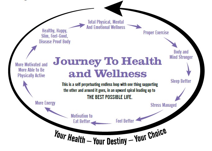 image4-1 Body Reset