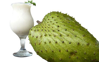 image8-2 Soursop and Cancer: What the Research Actually Says